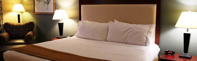 Holiday Inn Express & Suites Baton Rouge East By Ihg Prairieville Dış mekan fotoğraf